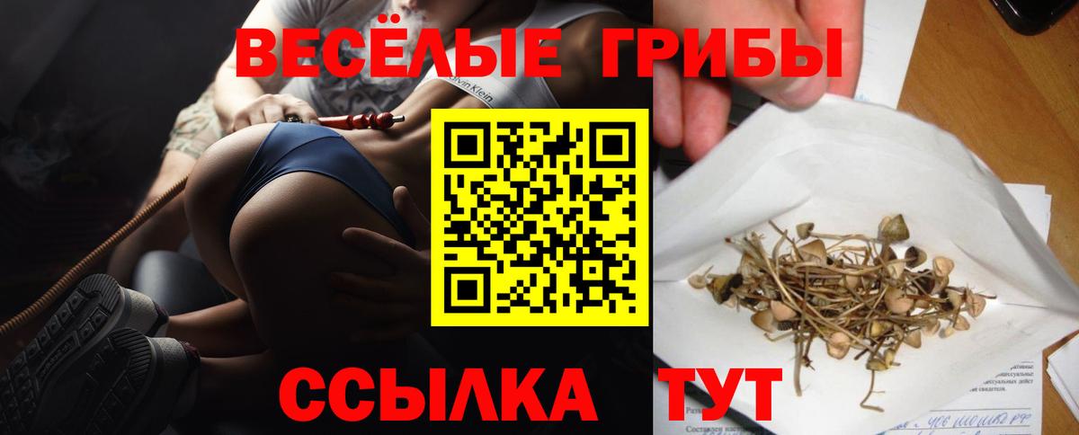 Галлюциногенные грибы Magic Shrooms  Вход с VPN  Псилоцибиновые грибы Cubensis  Назрань 